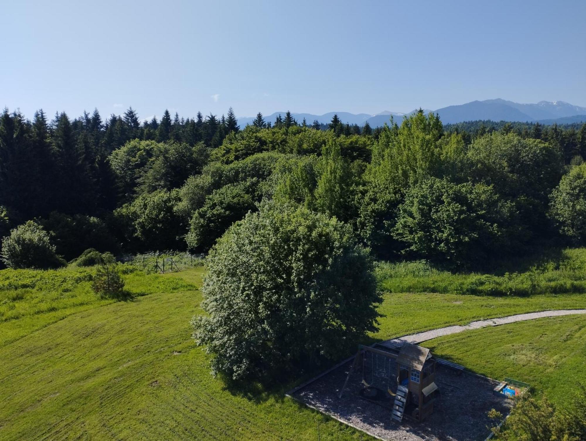Chamkoria Chalets Borovec Kültér fotó