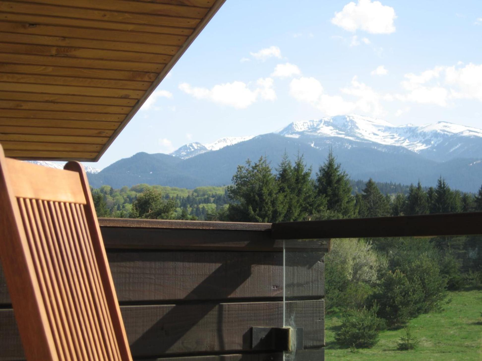 Chamkoria Chalets Borovec Kültér fotó