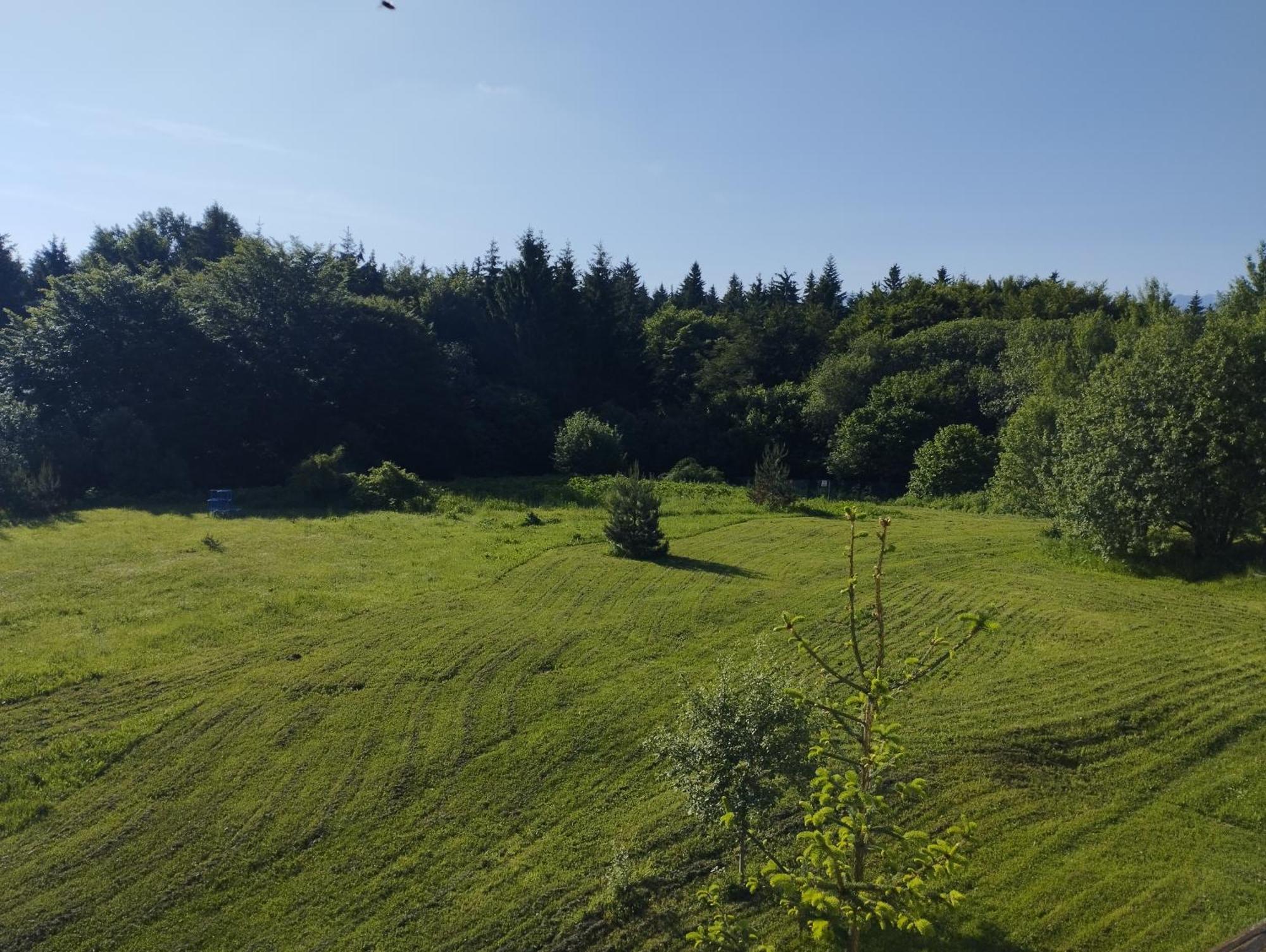Chamkoria Chalets Borovec Kültér fotó
